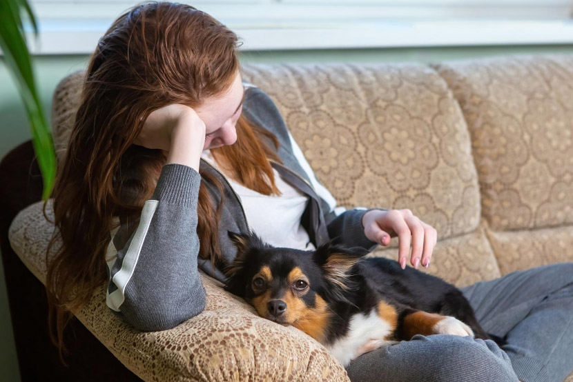 When Pet Anxiety Becomes More Than a Behavioral Issue