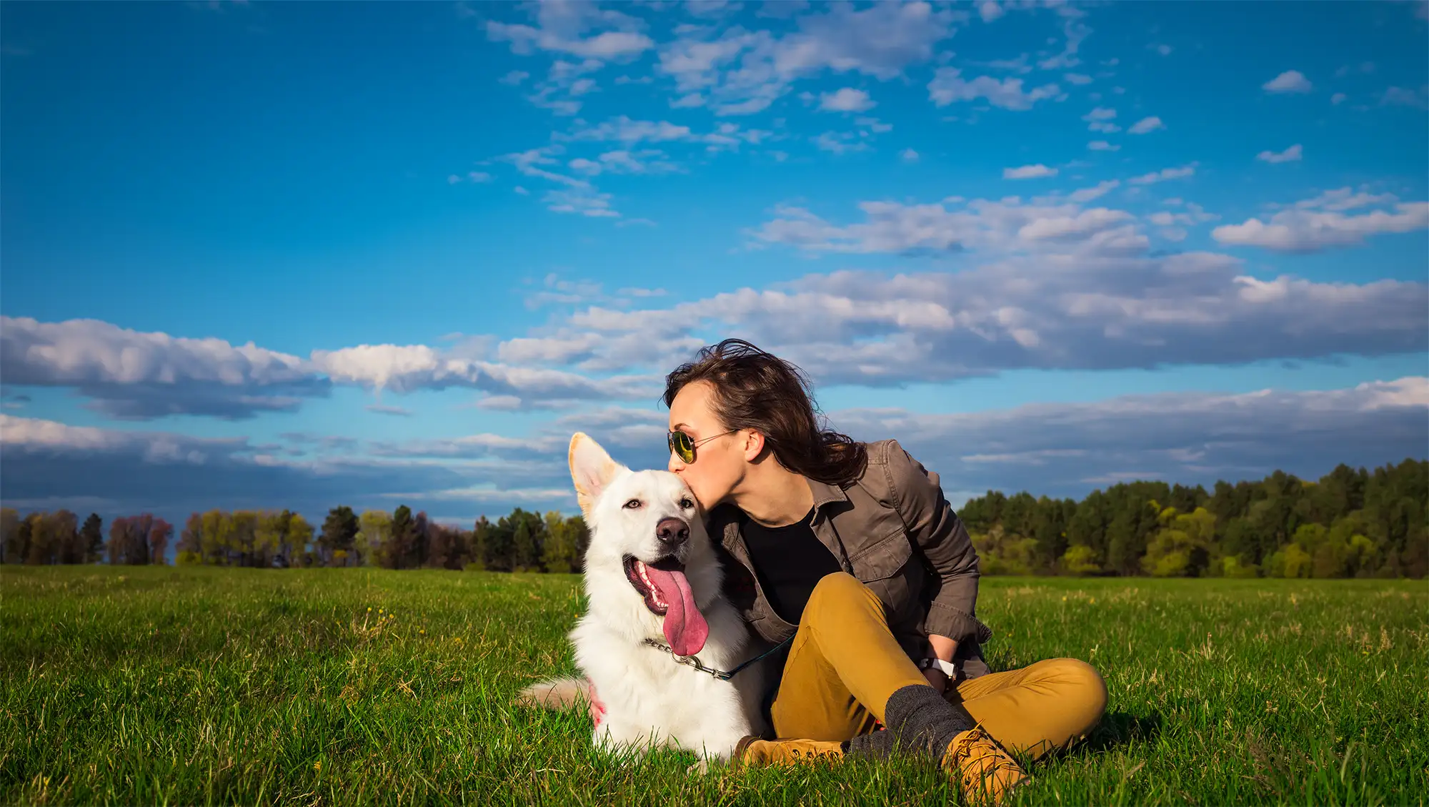 Beating the Heat: How to Keep Your Dog or Cat Safe from Summer Heatstroke