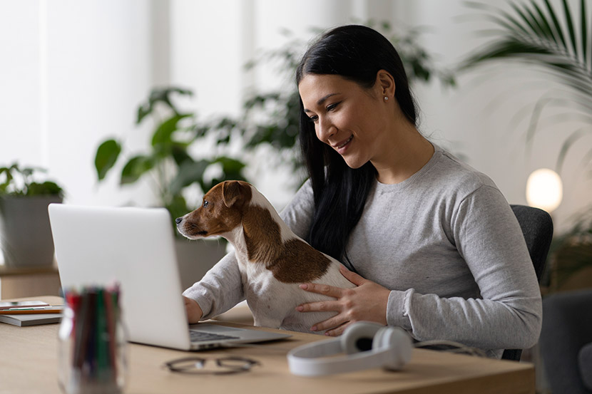 My dog has better health insurance than I do