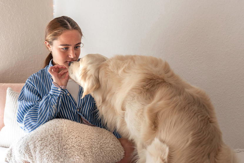 Shedding Season in Mesa: How to Stay Ahead of the Fur