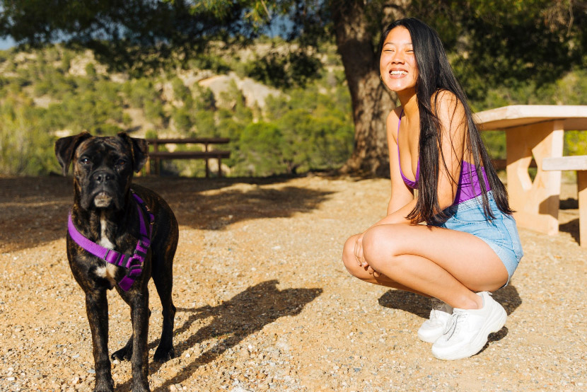 Valley Fever in Arizona Pets: Prevention Strategies for Dogs and Cats in the Desert Southwest