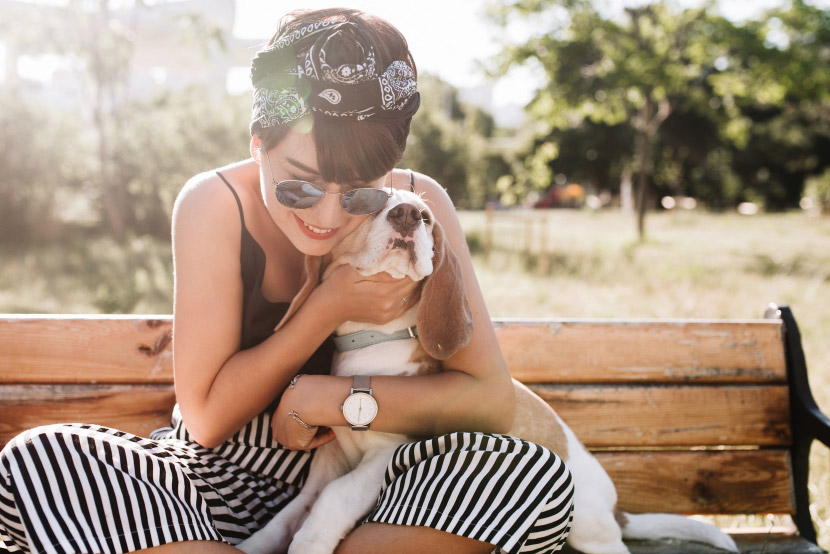 Mesa’s Fall Pet Health Reset: Simple Prevention That Can Save Trouble Later